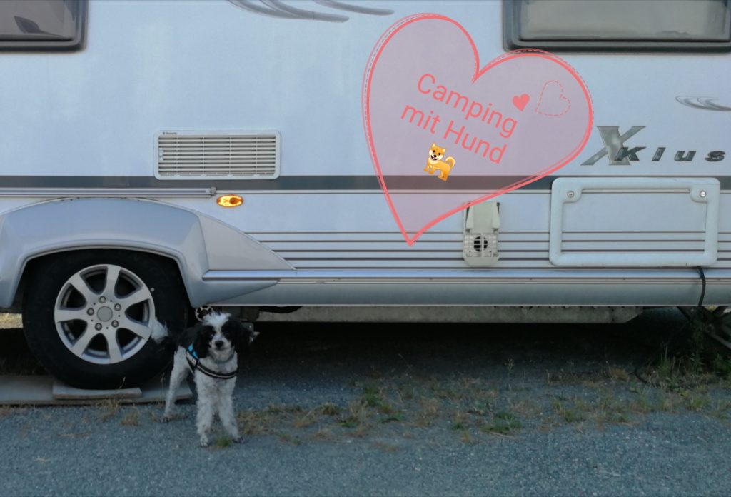 Camping mit Hund