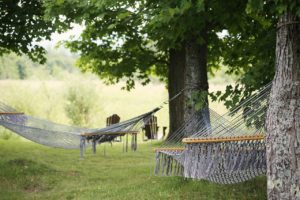 Campingbett: Vergleich & Test – Welches ist das Beste?