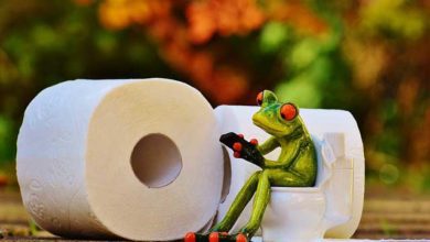 Campingtoilette: Was du vor dem Kauf wissen musst