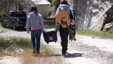 Camping Kühlbox Welche sollte mit in den Urlaub?