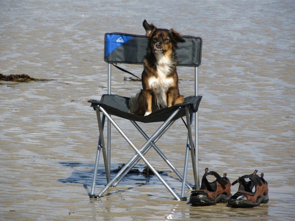 Campingstuhl Test - Die Suche nach DEM perfekten Klappstuhl