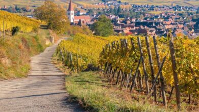 Wohnmobil Rundreise Elsass – französische Lebenslust erleben