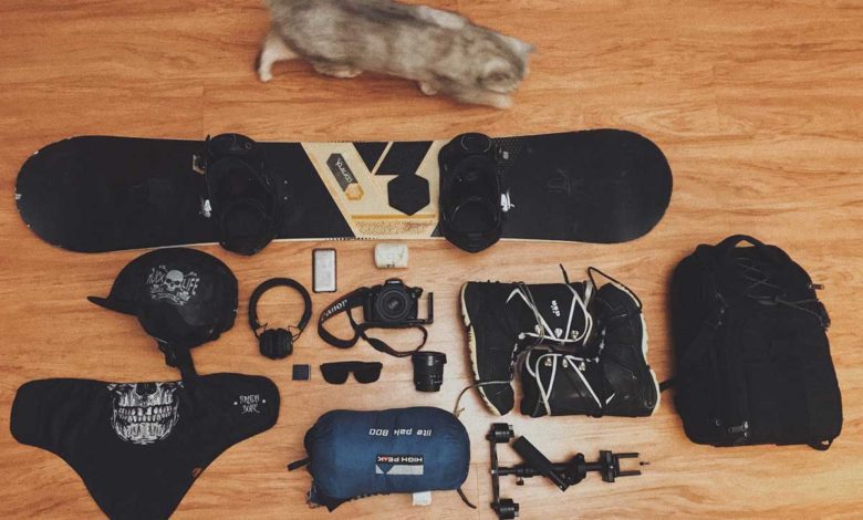 Wanderurlaub mit Katze: ein Erlebnis für dein Haustier