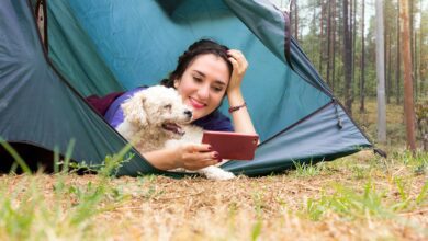 Mit diesen Tipps bist Du mit Zelt oder Womo nachhaltiger unterweg Mit diesen Tipps bist Du mit Zelt oder Womo nachhaltiger unterweg