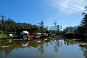 Campingplatz kaufen / zu verkaufen: Ein Leitfaden