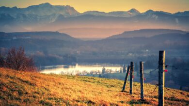 Südbayerns Naturschönheiten: eine Reise in die Berge und darüber hinaus