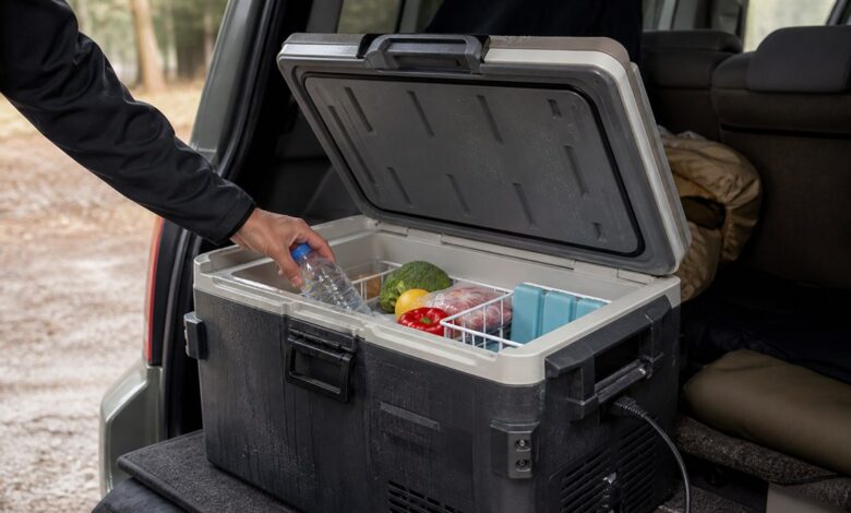 Camping-Kühlboxen mit Kompressor, Absorber und Peltier