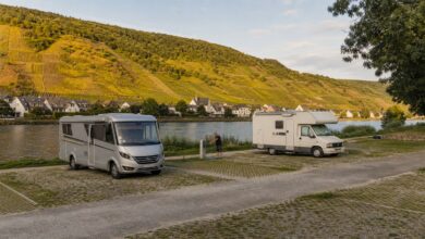 Kleiner Wohnmobilstellplatz zwischen Mosel und Weinbergen bei Wintrich