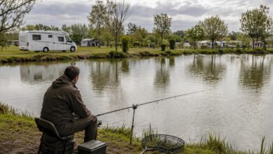 magazine 10842 campingplatz angler