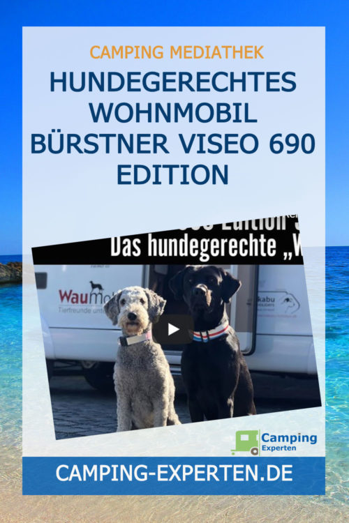 Hundegerechtes Wohnmobil Bürstner Viseo 690 Edition