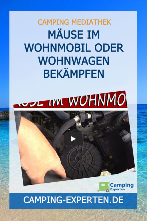 Mäuse im Wohnmobil oder Wohnwagen bekämpfen